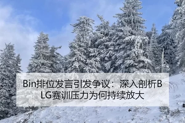 Bin排位发言引发争议：深入剖析BLG赛训压力为何持续放大
